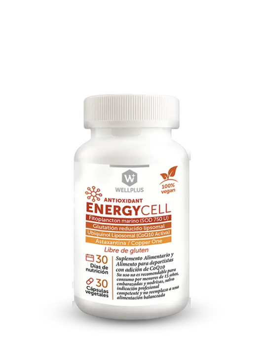 Energy Cell - WELLPLUS