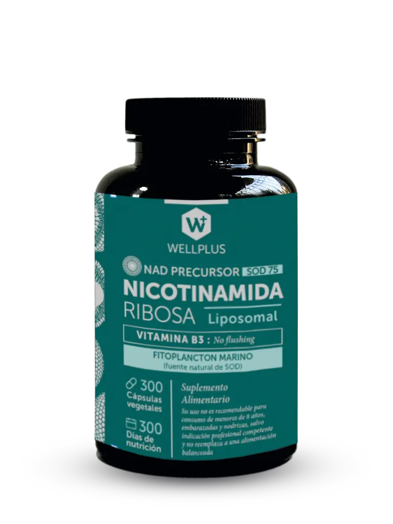 Nicotinamida - WELLPLUS