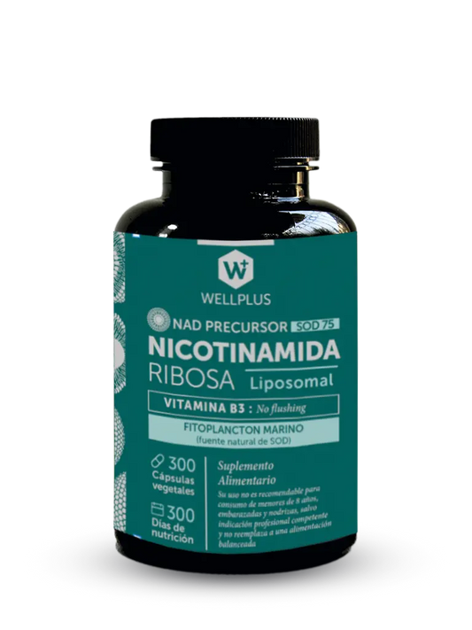Nicotinamida - WELLPLUS